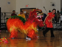 chinese dragon for web