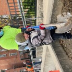 tree planting in lph